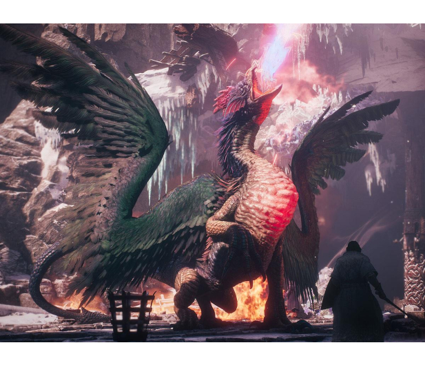 Switch Dragon's Dogma 2 Dark Arisen - 1581110 - zdjęcie 3